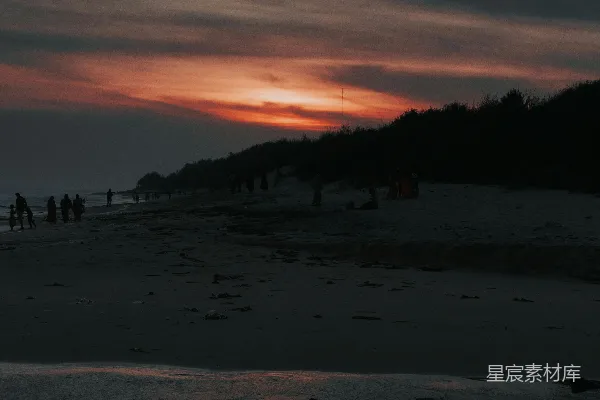 高清摄影 海滩上一群人的景象