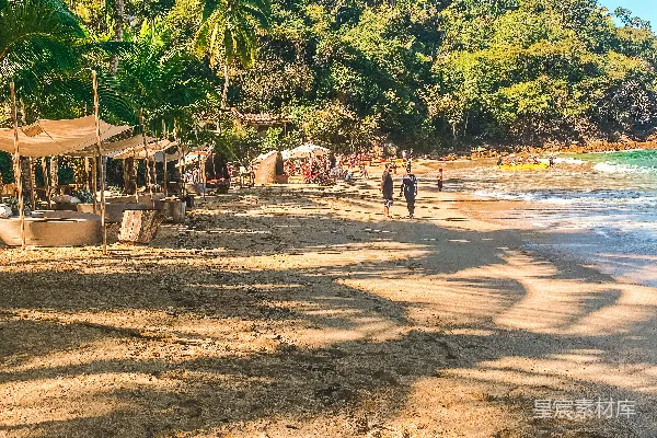 高清摄影 沙滩上有棕榈树和人们在上面行走的场景