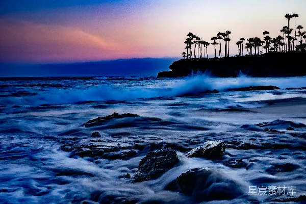 高清摄影 夕阳下的海洋景色，棕榈树在背景中。