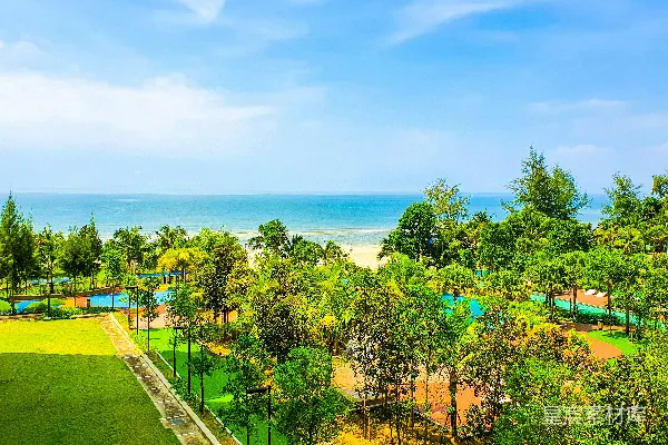 高清摄影 白天树林近水边