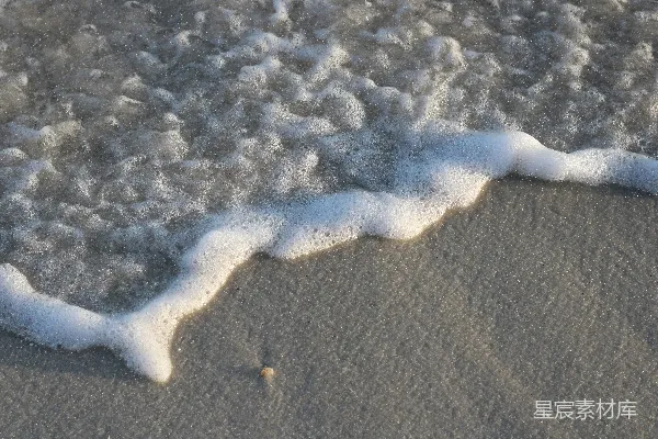 高清摄影 海滩上的白蛇