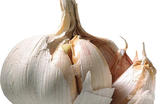 元素素材 PNG