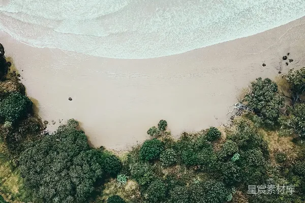 高清摄影 背景中有一片树林和一片水面的风景图