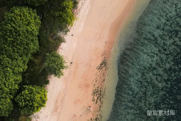 高清摄影 海滩和树木的空中俯瞰图