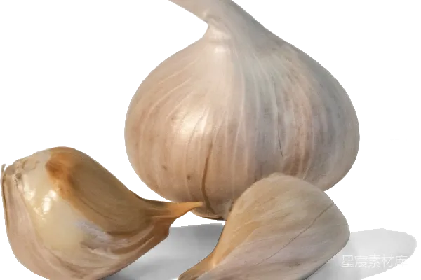 元素素材 大蒜