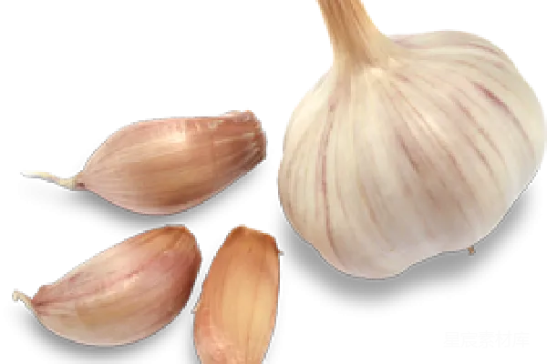 元素素材 大蒜