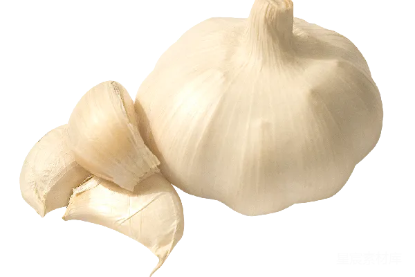 元素素材 大蒜