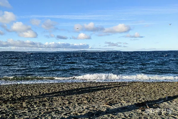 高清摄影 一个穿着冲浪板的人在海滩上行走。