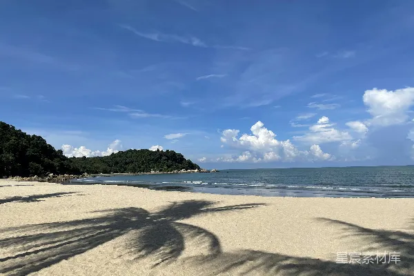高清摄影 海滩上一棵棕榈树的影子