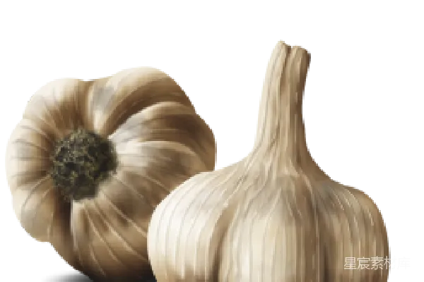 元素素材 大蒜