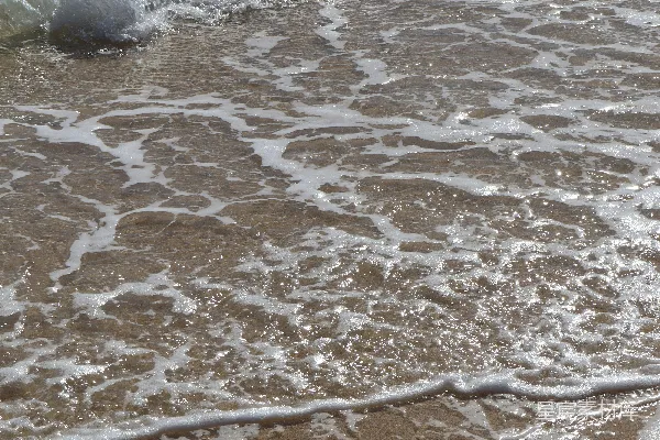 高清摄影 海滩上浪花拍打的声音