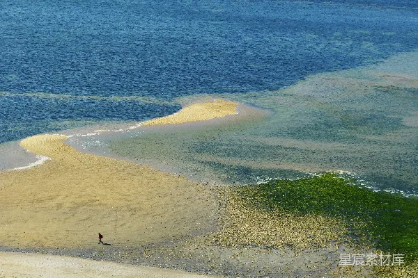 高清摄影 白天人在海滩上行走