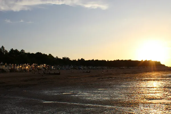 高清摄影 夕阳西下，海滩上一群鸟儿飞翔。