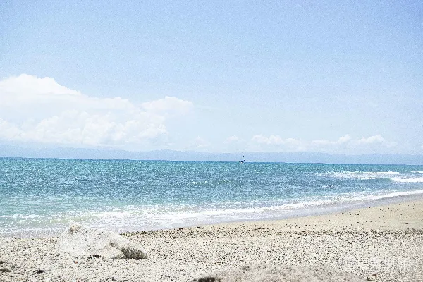 高清摄影 海滩上行走的人带着冲浪板