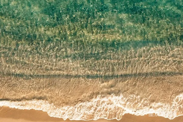 高清摄影 一片沙滩和海洋的空中俯视画面