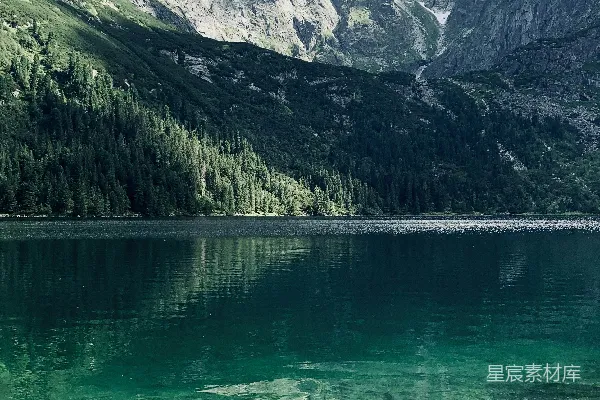 高清摄影 湖边绿树白天的景象