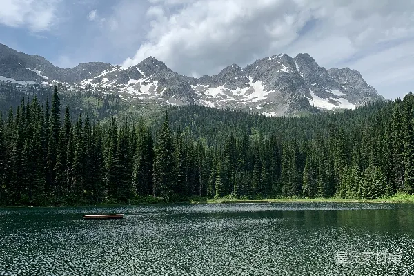 高清摄影 白天绿松树近湖，雪覆盖的山峰