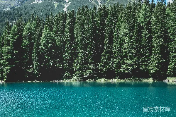 高清摄影 男子透过湖景望着，湖边有pine trees，在蓝天下。