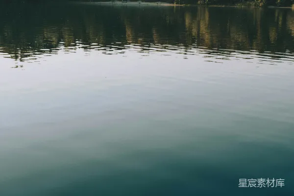 高清摄影 白天树木围绕着湖泊两侧