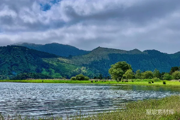 高清摄影 水边的草lush grass near body of water