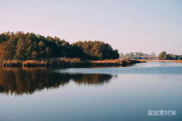 高清摄影 白天绿色叶子的树木映照在玻璃般的湖面上