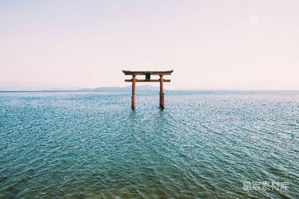 高清摄影 一对情侣在水中的中间漂浮着