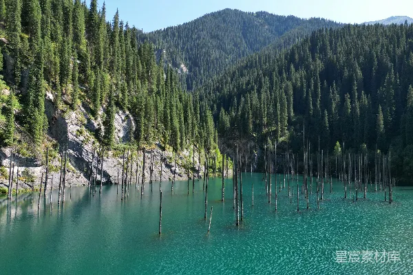 高清摄影 一片被树木和山峦环绕的水域