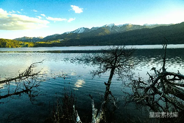 高清摄影 被山和树环绕的一片水域