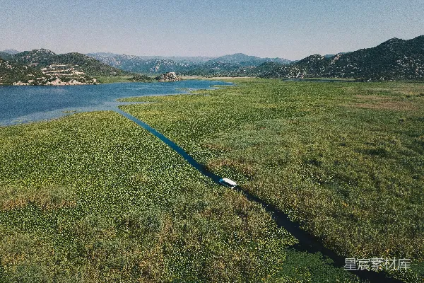 高清摄影 高角度拍摄的绿草地
