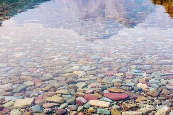 高清摄影 环绕着岩石和树木的一片水域