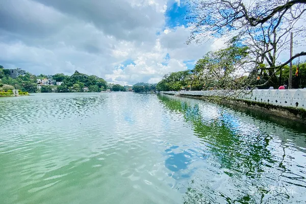 高清摄影 围绕在树木和建筑之间的水域