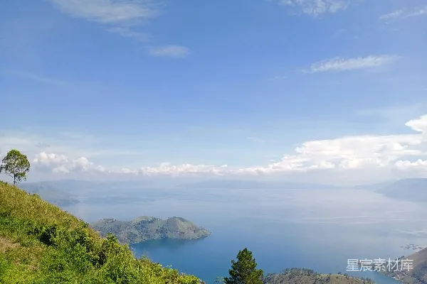 高清摄影 一片长满草的山顶有棵树的小山坡。