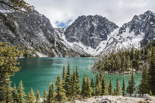 高清摄影 白天绿色松树靠近湖泊，山上有积雪
