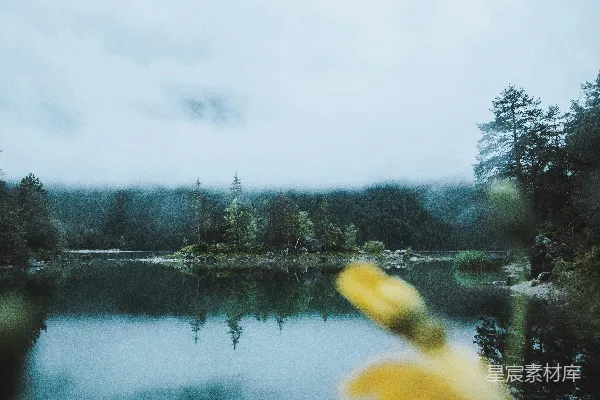 高清摄影 背景中有树木的一片水域的景象