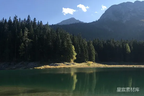 高清摄影 湖边绿树白天的景象