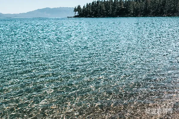 高清摄影 背景中有树木的水域