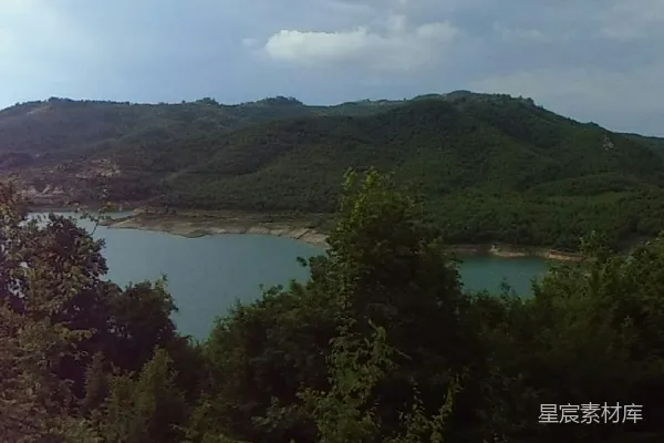 高清摄影 绿树