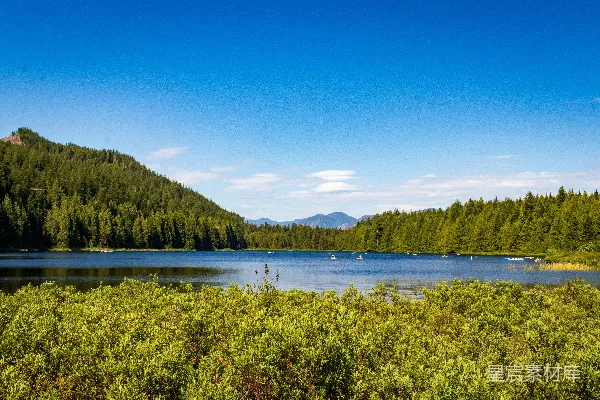 高清摄影 被树木和灌木环绕的一片水域