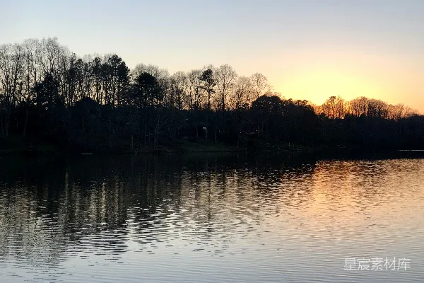 高清摄影 背景中有树木的水域