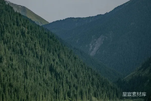 高清摄影 被山和树环绕的水域