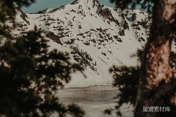 高清摄影 透过树木可以看到一片被白雪覆盖的山峦。