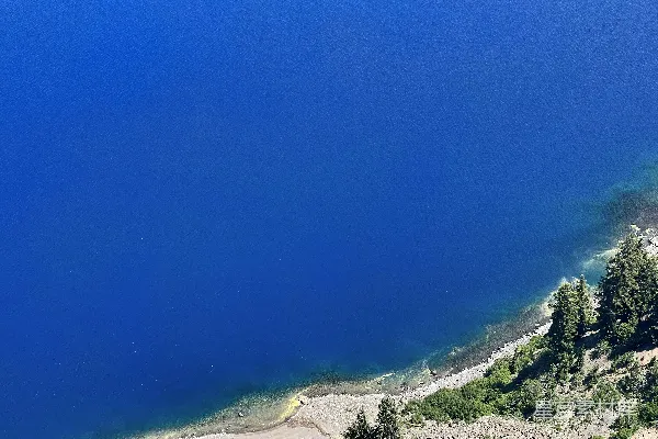高清摄影 山坡上绿色的树木在白天靠近湖水的地方