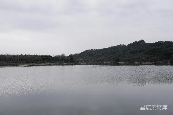 高清摄影 一片环绕着森林的广阔水域
