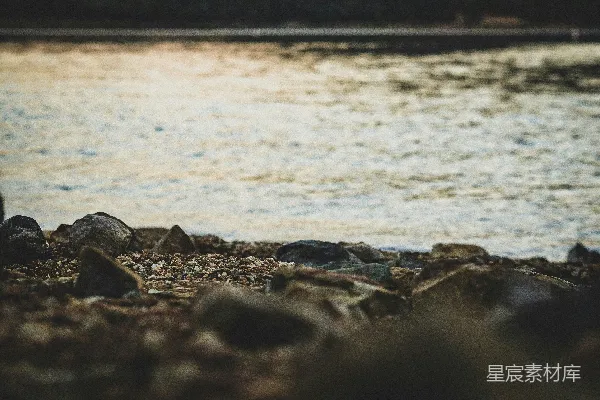 高清摄影 一只鸟站在岩石岸边，旁边是一片水域。