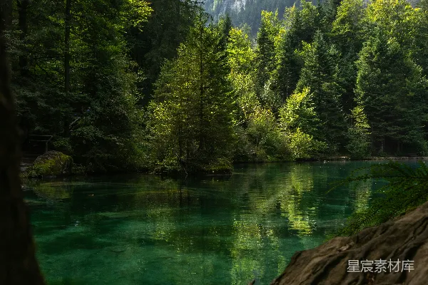 高清摄影 一个被森林环绕的湖泊，背景是山峦。