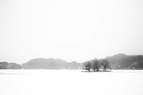 高清摄影 一幅黑白照片，拍摄的是覆盖着白雪的田野。