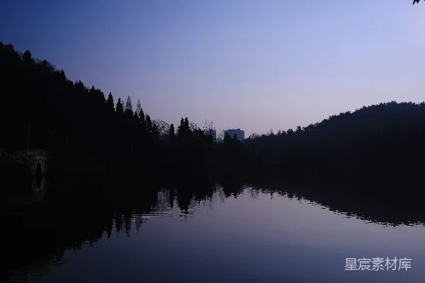 高清摄影 围绕着森林的一片水域