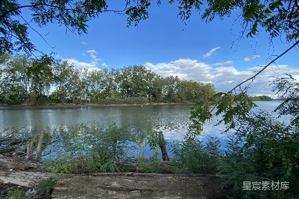 高清摄影 绕有树木的水域
