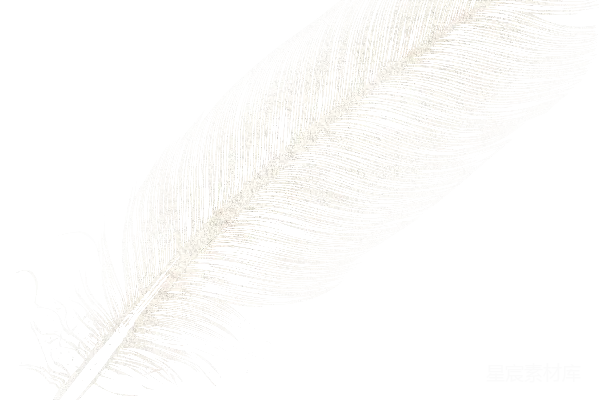 元素素材 羽毛