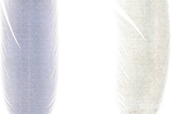 元素素材 羽毛